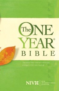 one year bible
